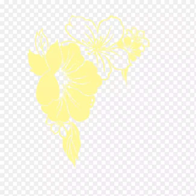 花瓣黄色开花植物花型