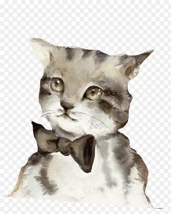 暹罗猫水彩画艺术一只领带猫