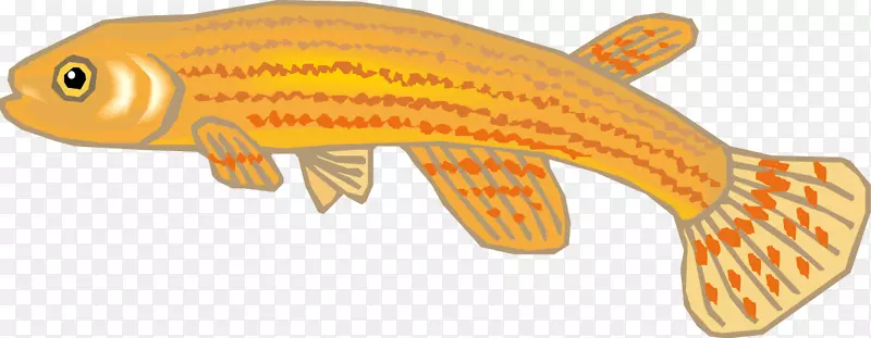 鱼生物绘画-生活世界，鱼