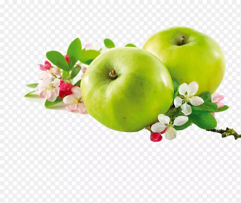 苹果红花食品-绿色苹果花