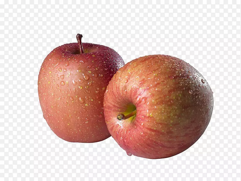 苹果软件-两个苹果