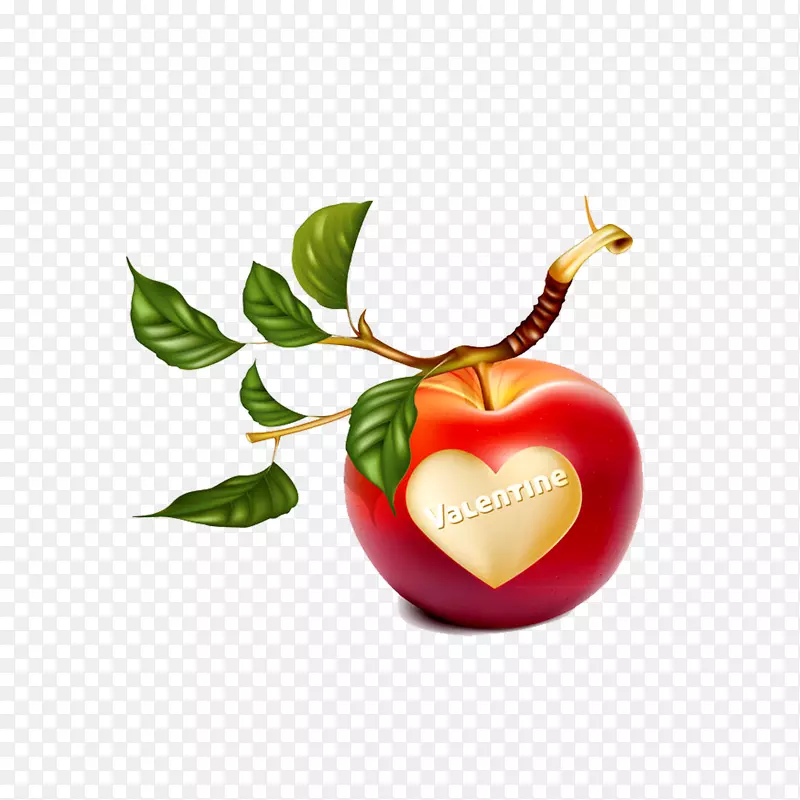 苹果枝条剪贴画-浪漫的心形苹果