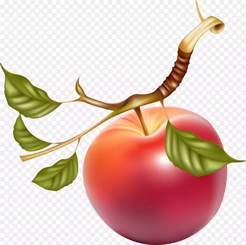 果汁苹果水果剪贴画-红苹果