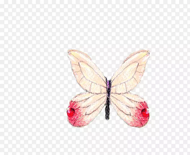蝴蝶图案-蝴蝶