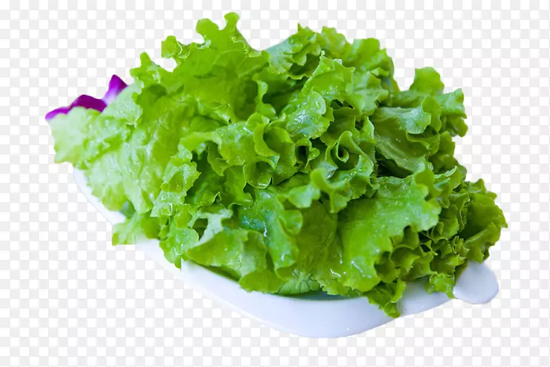 生菜叶蔬菜-绿色蔬菜