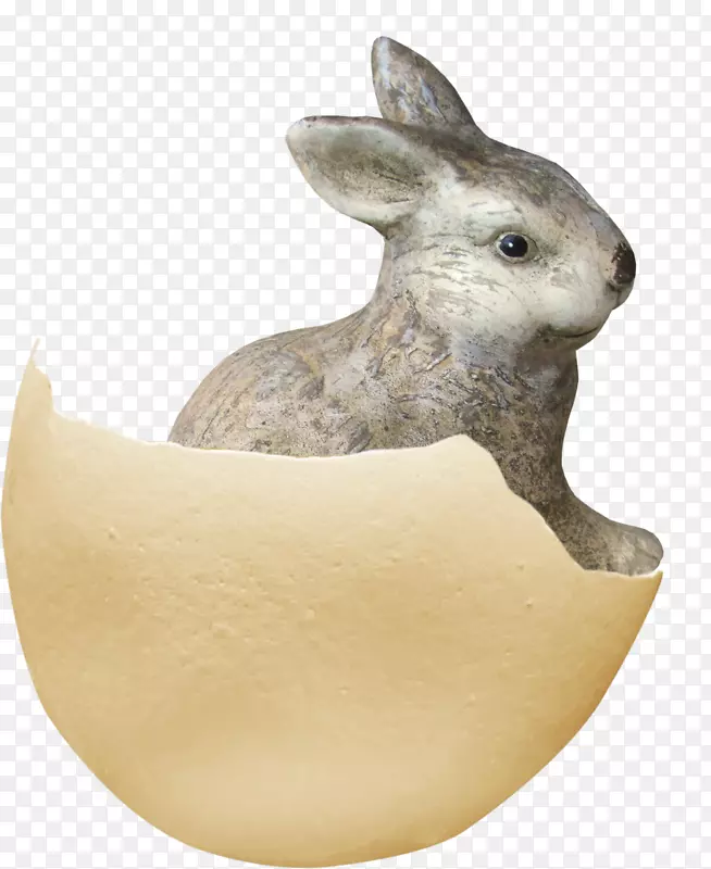 家兔蛋壳-蛋壳兔