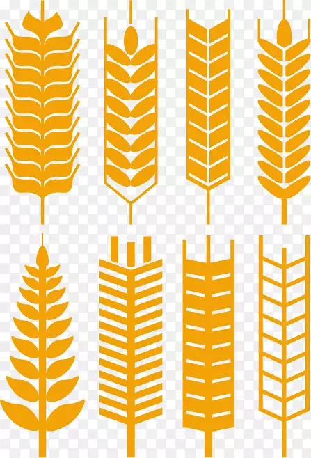 小麦摄影插图-小麦材料精美的标签设计