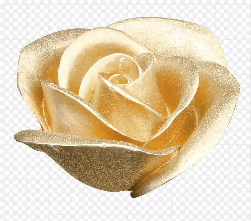 花园玫瑰花金-美丽的金色玫瑰