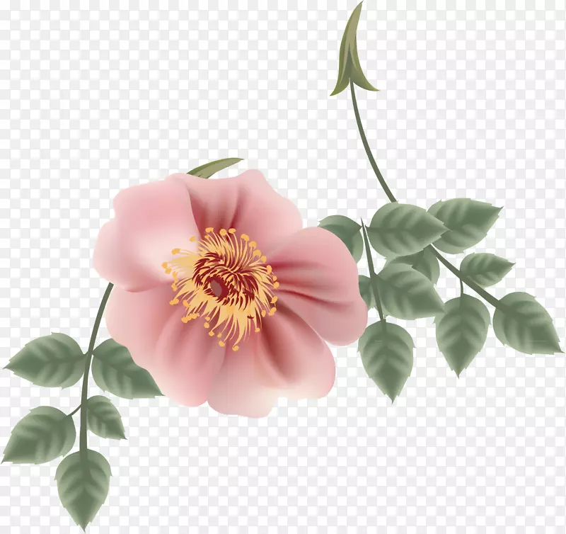 花卉花瓣-卡通玫瑰材料