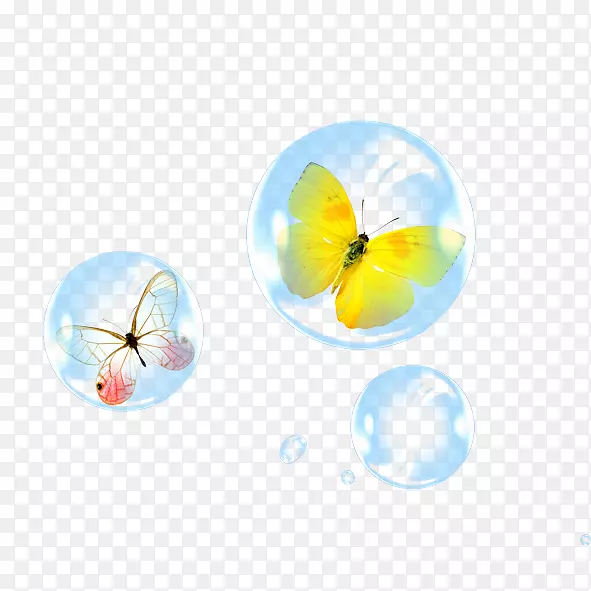 蝴蝶下载-气泡，蝴蝶