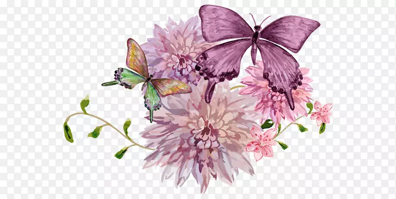 蝴蝶画.卡通美手绘水彩画蝴蝶美丽的花朵