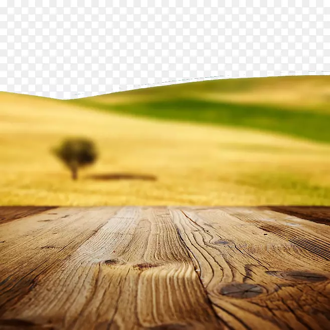 摄影免费自然墙纸木材和遥远的景观