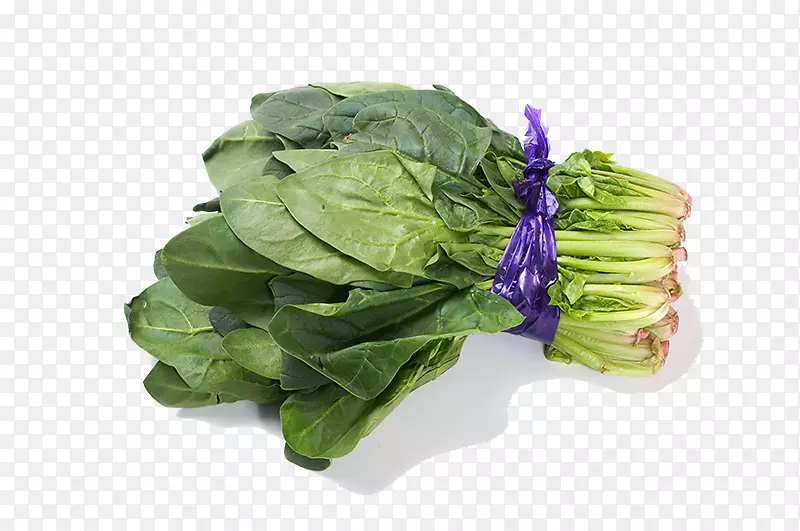 菠菜菜园-新鲜蔬菜菠菜