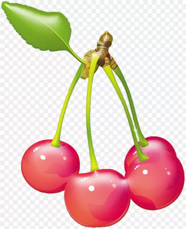 樱桃土坯插图-粉红色水果樱桃