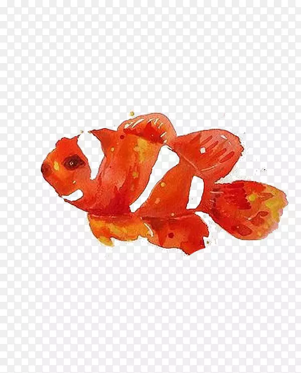 纸水彩画水印创意作品插图橙色水印金鱼