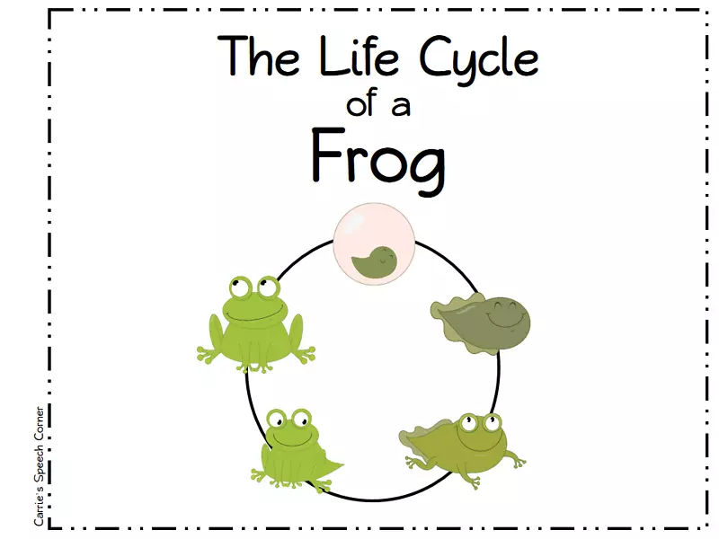 青蛙蝴蝶生物生命周期剪贴画-青蛙图片