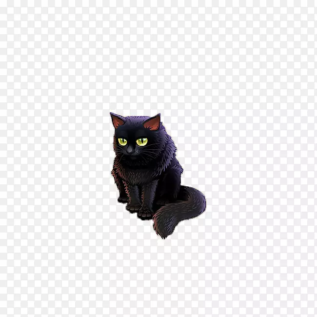 孟买猫黑猫猫科家养短毛猫一只黑猫
