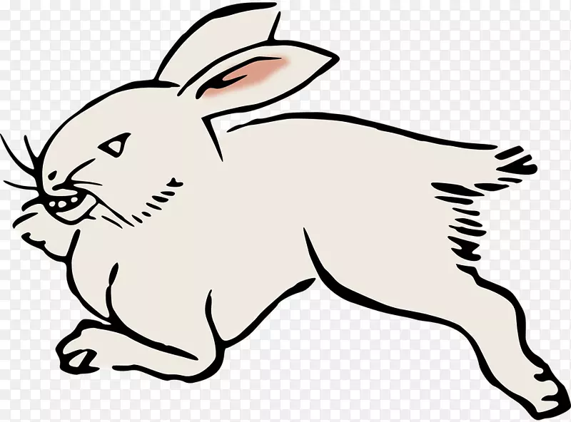 国内兔剪贴画-长跑兔动物世界