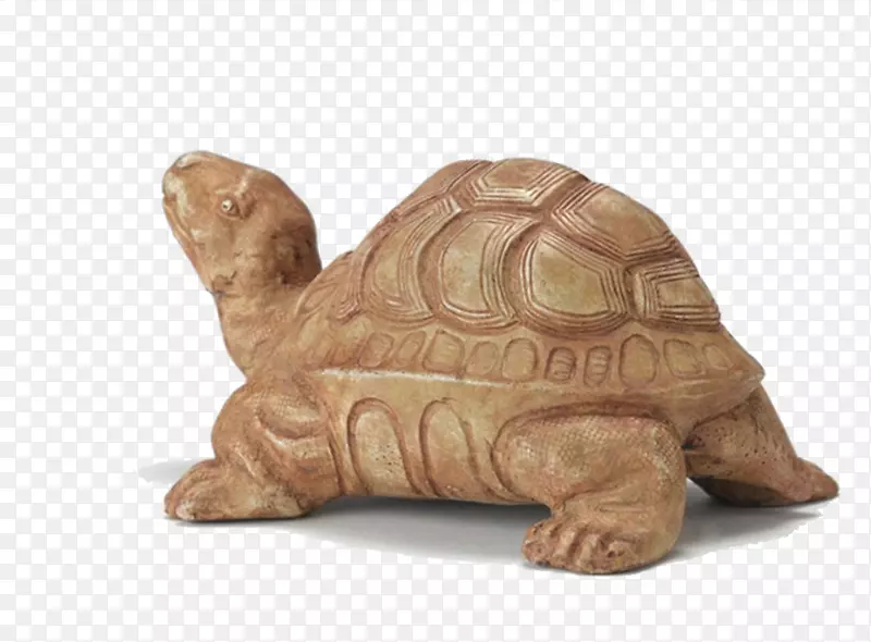 箱形龟-石刻上爬行的龟