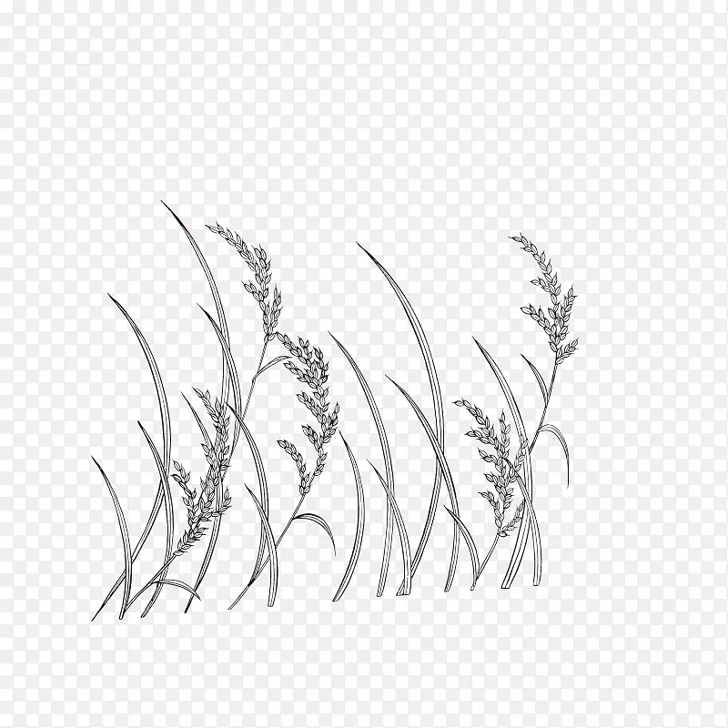 线条艺术小麦单色画手绘小麦