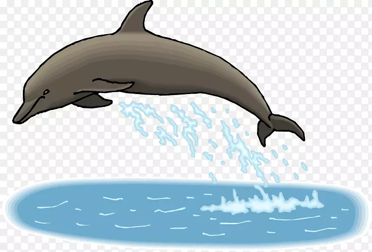 旋转海豚所有关于海豚宽吻海豚剪贴画-旋转海豚剪贴画