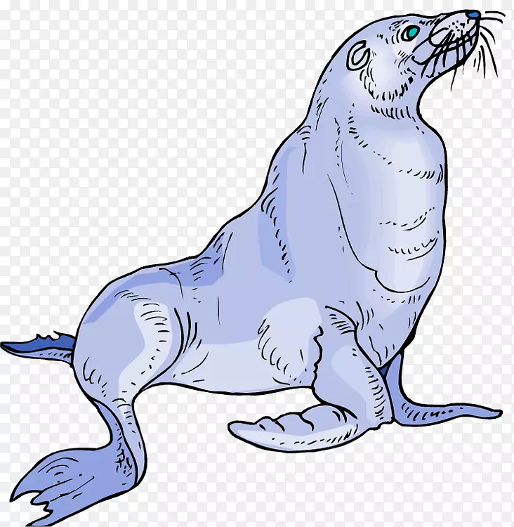婴儿海狮夹艺术-可爱的卡通海豹