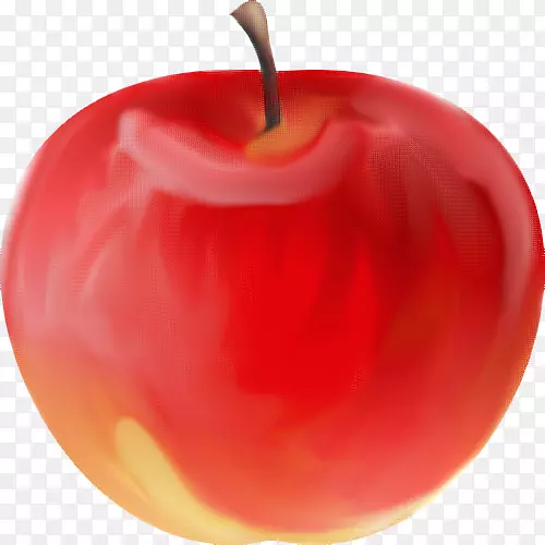 麦金托什苹果图-红苹果