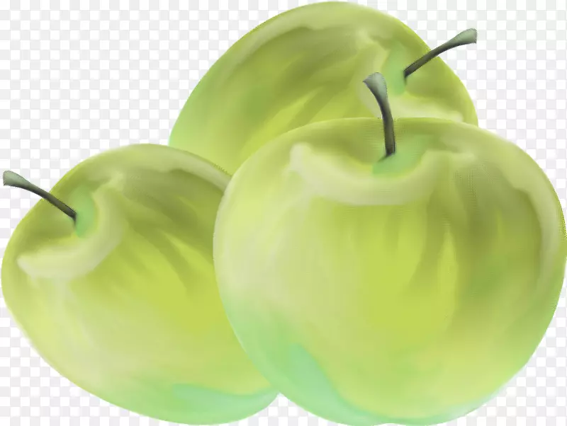 麦金托什奶奶史密斯苹果-绿苹果