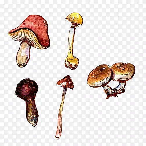 蘑菇手绘材料图片