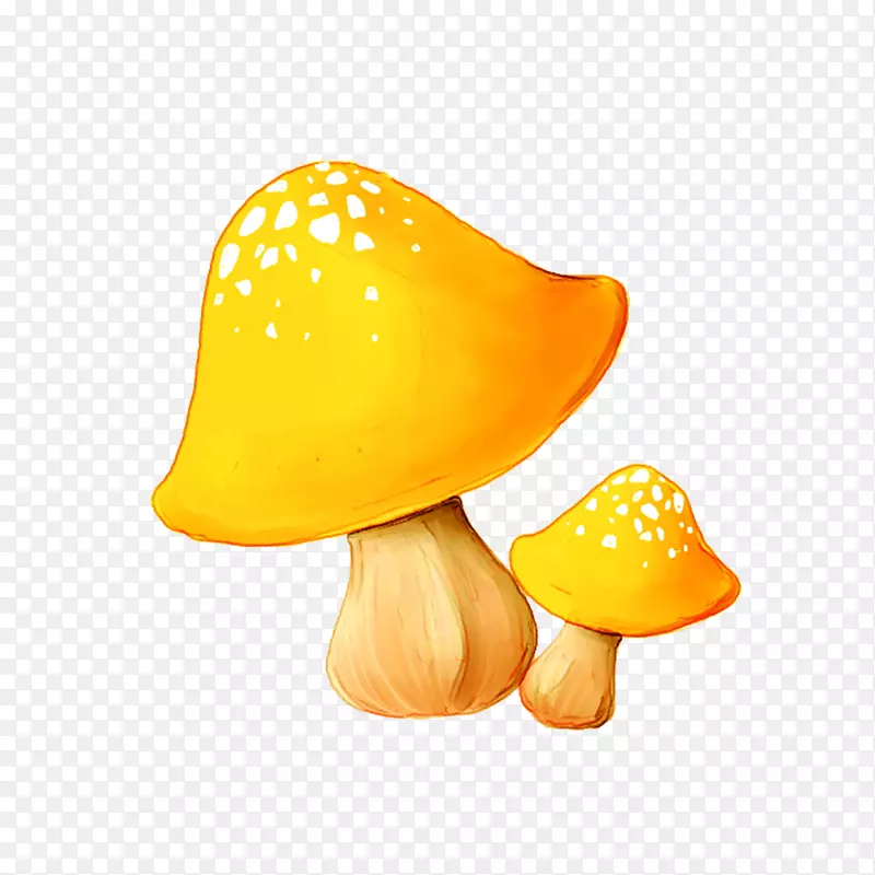 蘑菇手拉蘑菇