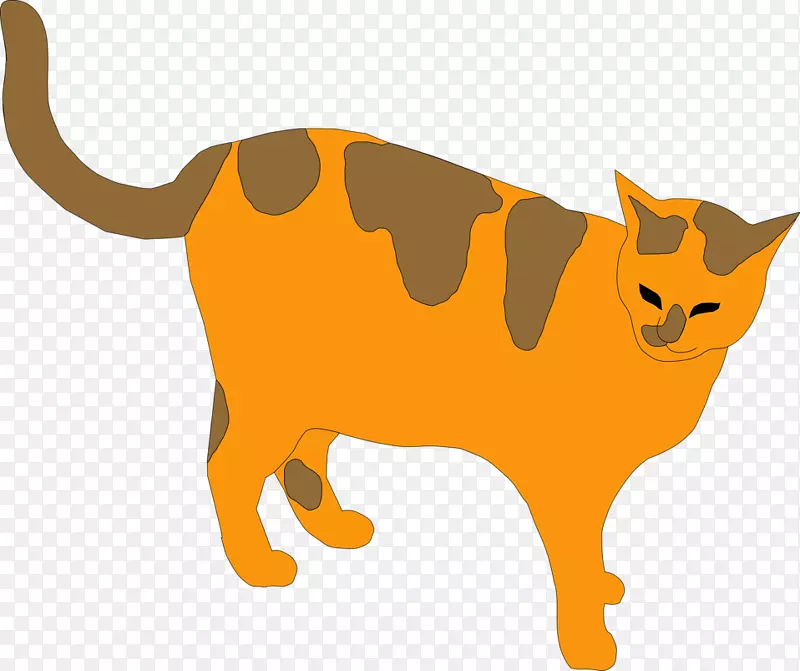波斯猫哈瓦那棕色猫剪贴画-橙色猫图片
