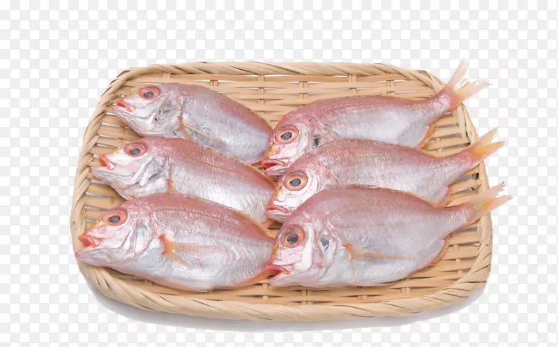 鱼类海鲜-鲜鱼