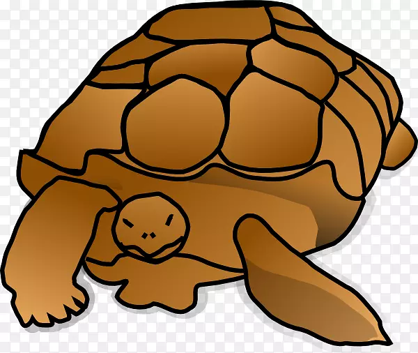 绿海龟爬行动物动画剪贴画-乌龟剪贴画