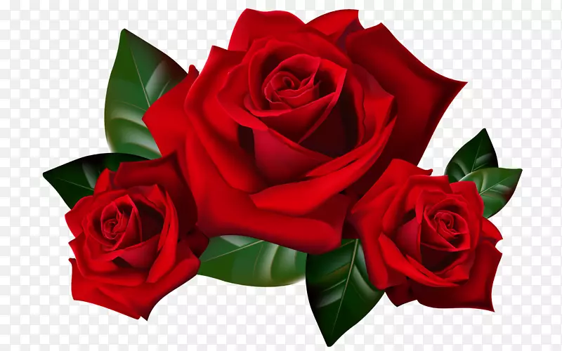 玫瑰花夹艺术-红色壁纸剪贴画