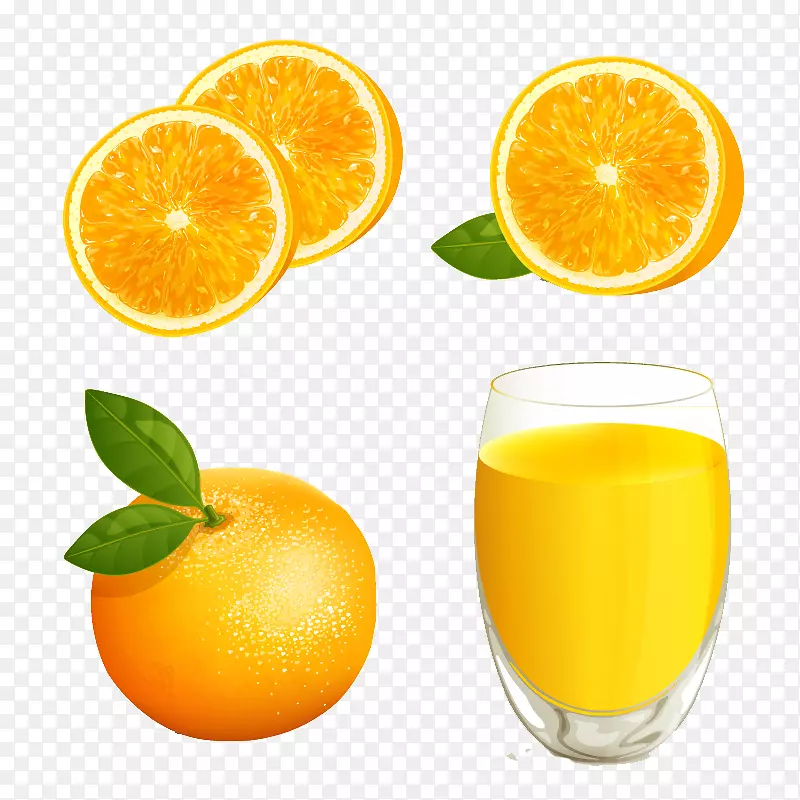 橙汁插图-橙汁和橙汁