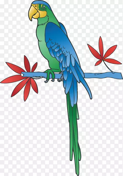 鹦鹉免费剪贴画-鹦鹉树枝上的卡通