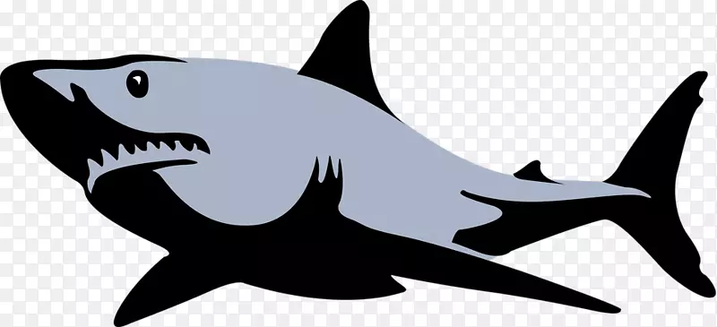 大白鲨、公牛、鲨鱼、虎鲨、剪贴画-鲨鱼插图