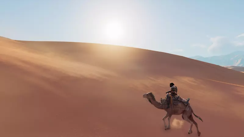 撒哈拉风成地貌骆驼儿沙漠-骆驼