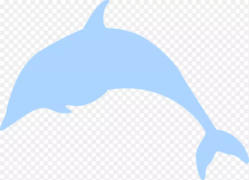 普通宽吻海豚图库溪动物海豚