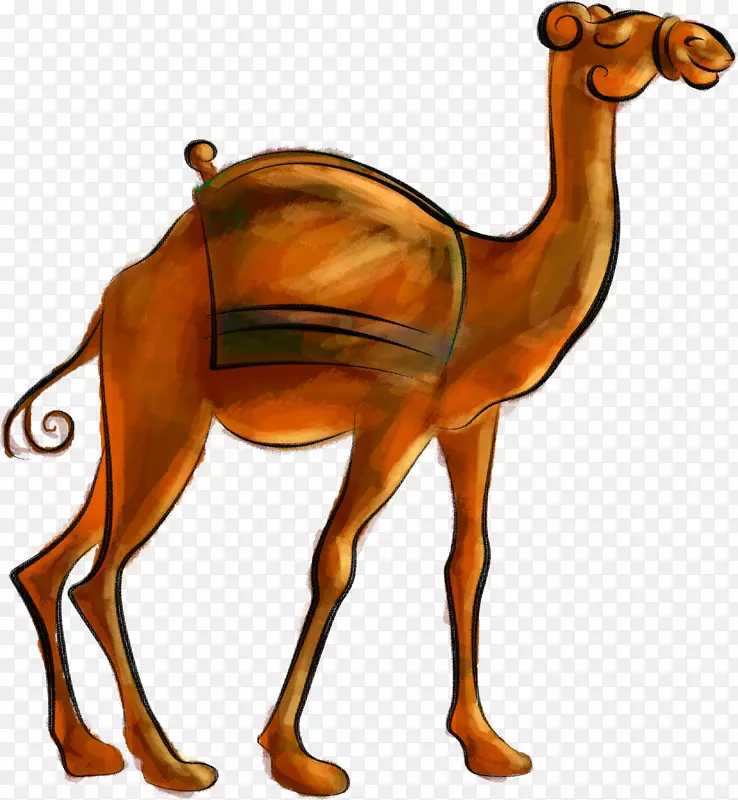 骆驼沙漠-骆驼