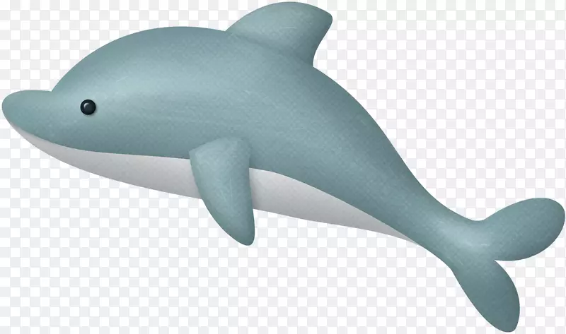 海豚图库溪普通宽吻海豚