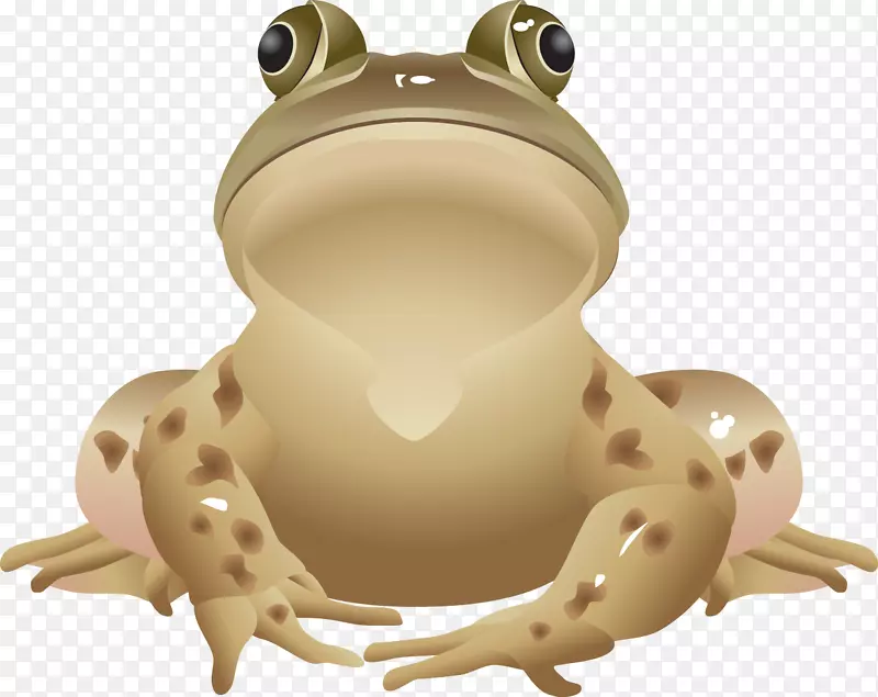关于青蛙，食用青蛙，剪贴画，青蛙