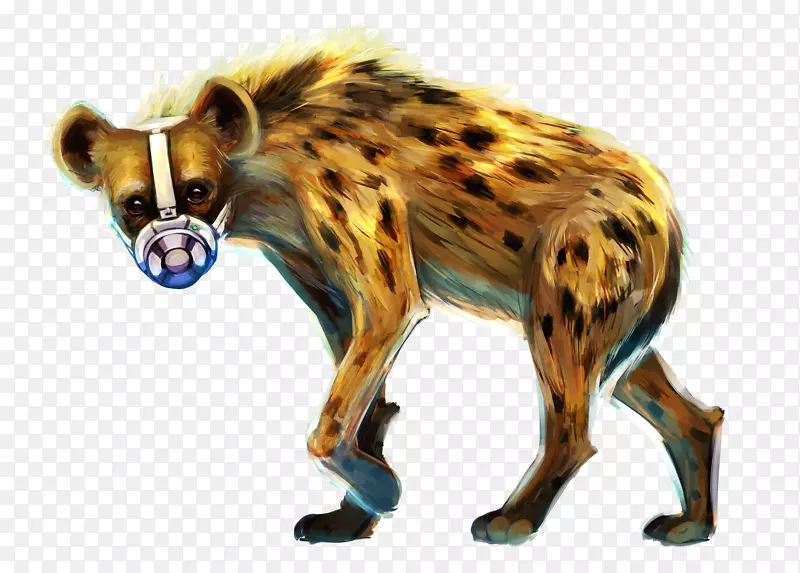 非洲野生狗猎豹-鬣狗