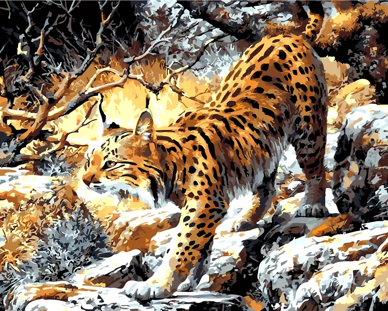 山猫伊比利亚山猫，秋季绅士画家