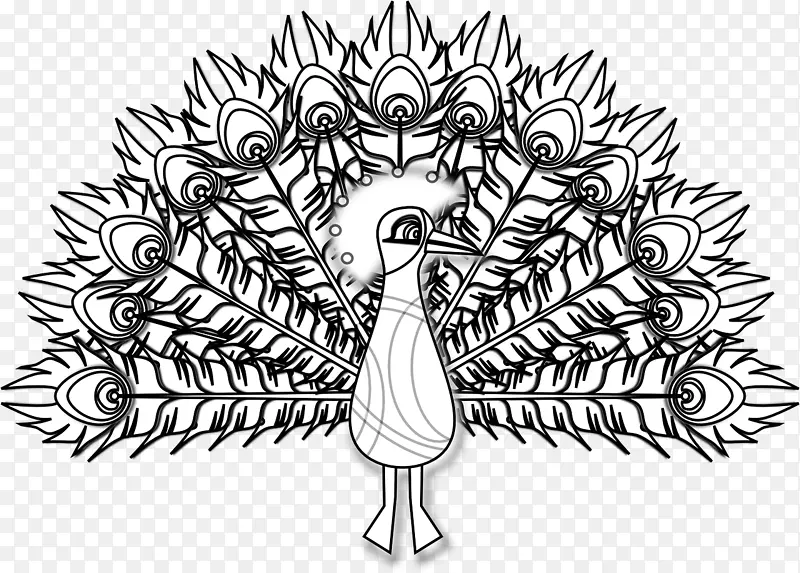 鸟类黑白孔雀线条艺术-孔雀