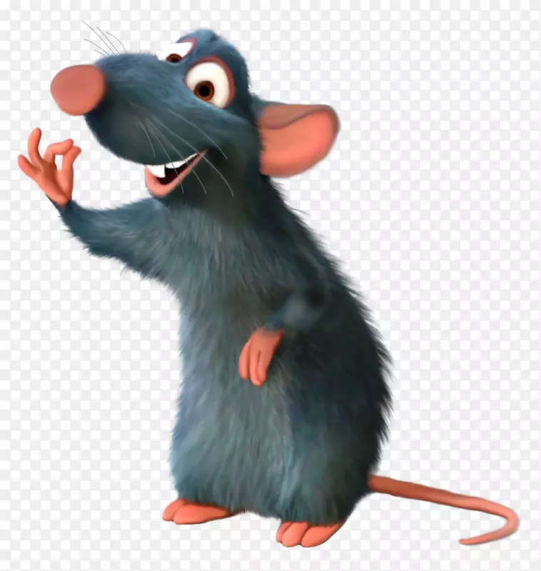 鼠黑鼠卡通动画-老鼠