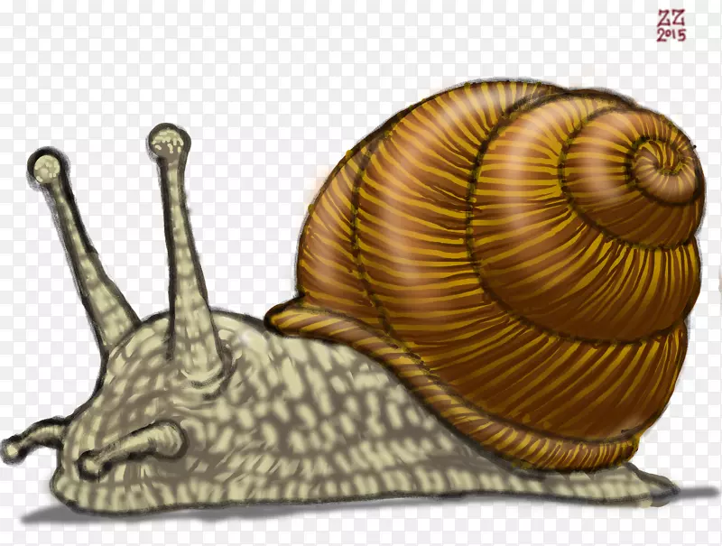 腹足动物陆生蜗牛画蜗牛