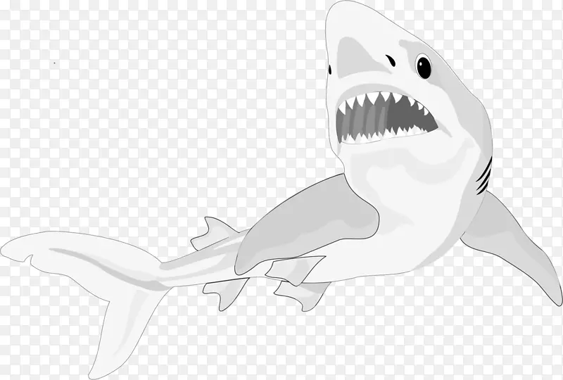 鲨鱼，海马鱼，动物软骨鱼类-鲨鱼