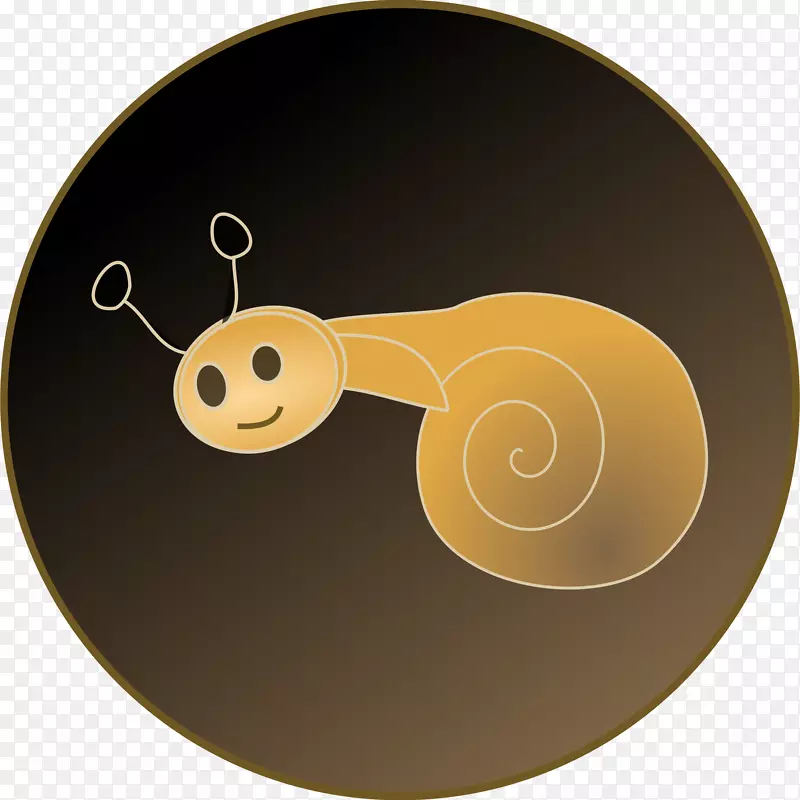 海蜗牛腹足类壳夹艺术-蜗牛