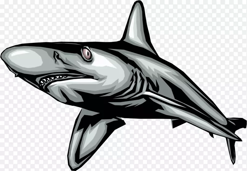大白鲨-免费剪贴画-鲨鱼